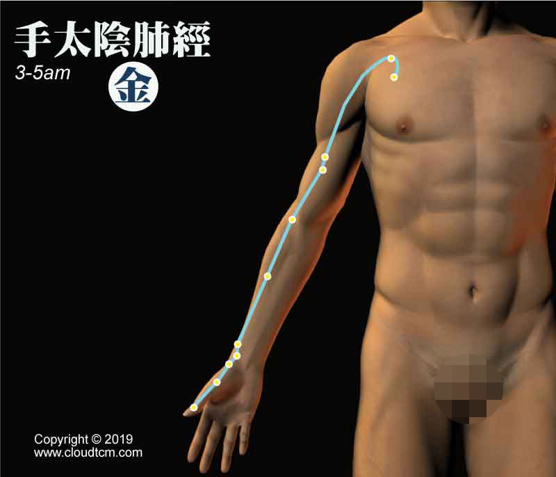 十二經絡該如何養生？依照經絡運行時間養生效果最好!