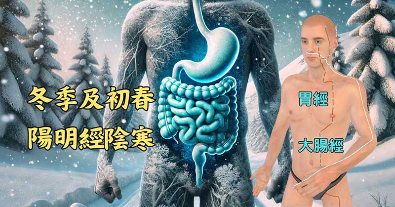 冬季及初春，有些人體內的陽明經非常陰寒