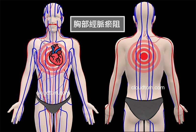 現代人通往胸部的經絡氣血長期不佳