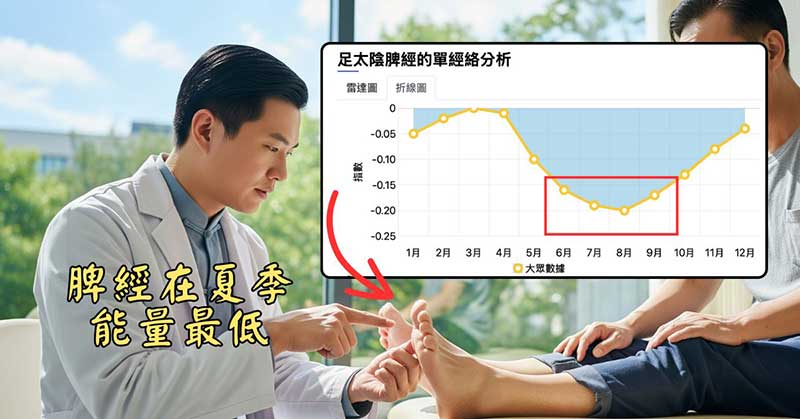 多數人的體內脾經，在進入夏季之後能量最低