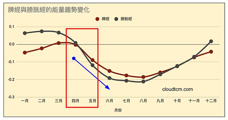 脾經與膀胱經在五月能量開始迅速下降