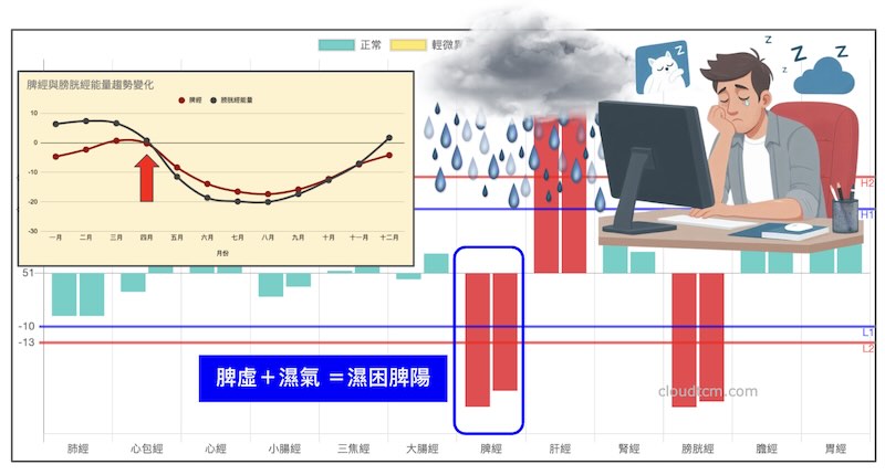 春夏季節會想睡的經絡，主要是脾經及膀胱經虛證