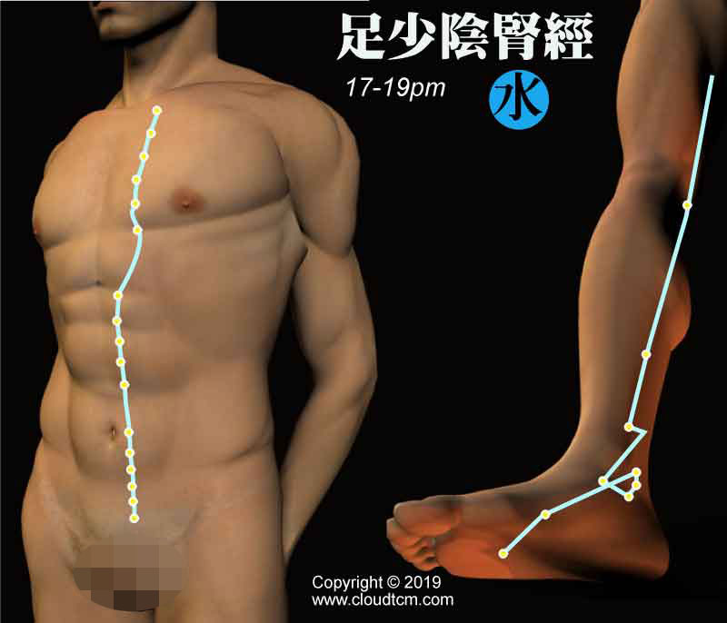 腎經的運行時間是下午17-19點