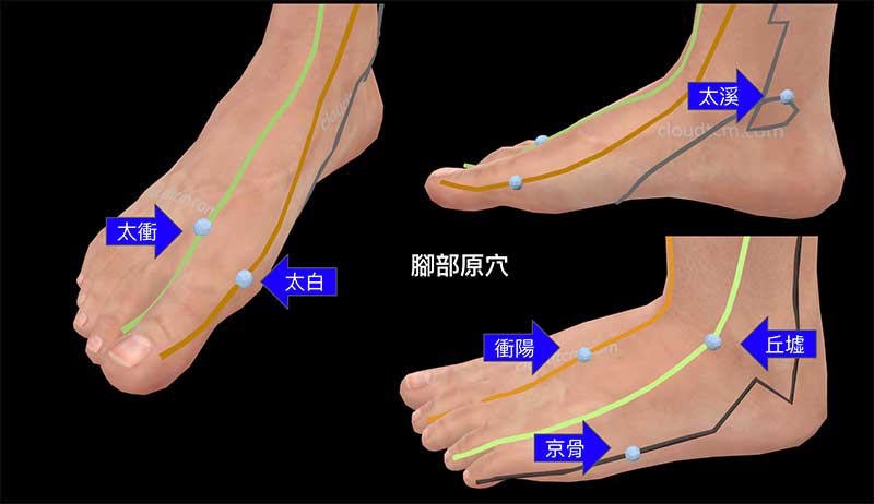 人體位於腳部的原穴