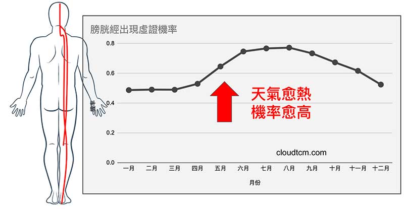 進入夏天之後，高比例的人膀胱經虛證