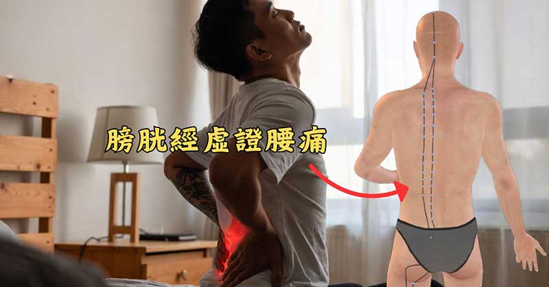 有些人一年四季膀胱經都是虛證，這很容易出現腰痛
