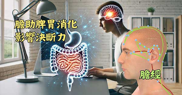 膽影響消化系統，進而影響決斷力