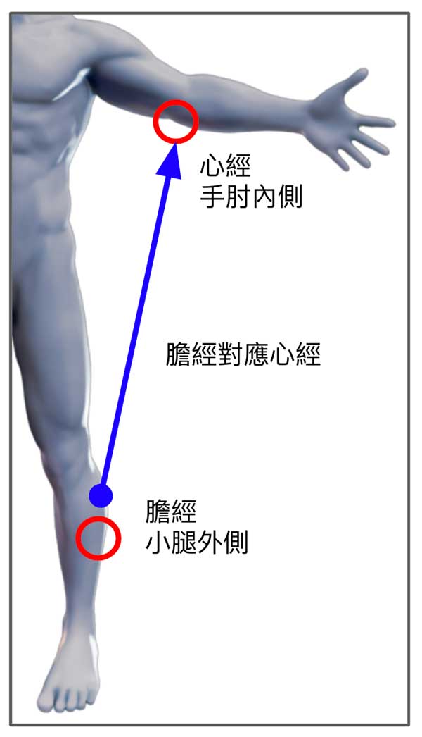 膽經與心經具有經絡對應關係