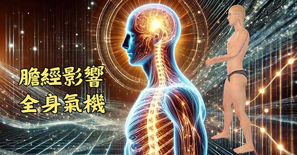 膽經影響全身的氣機，幾乎無所不包