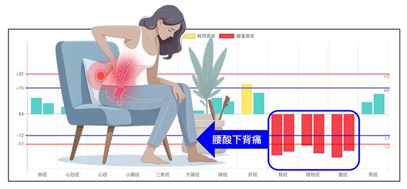 膀胱經、膽經與腎經是造成腰酸背痛的主要經絡