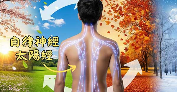 自律神經與太陽經密切相關