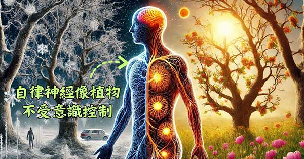 人體的自律神經像植物，完全不受意識控制