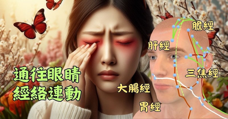 通往眼睛的經絡火熱連動，造成眼睛發癢