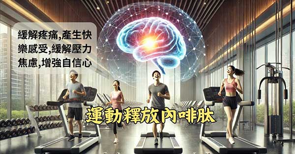 運動可以釋放內啡肽，產生種種快樂感