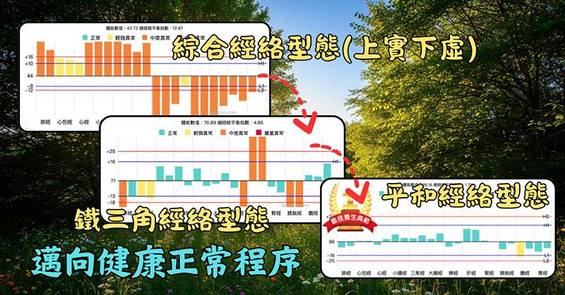 邁向經絡體質完全正常的程序階段
