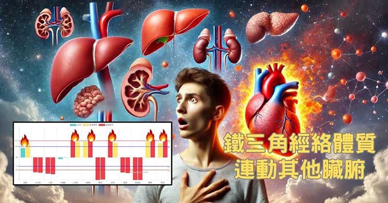 鐵三角經絡體質，最後會連動其他臟腑
