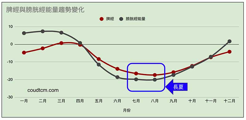 長夏脾經與膀胱經虛證