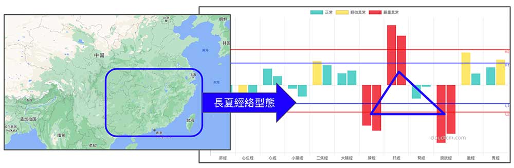 長夏經絡型態，以脾經與膀胱經虛證為主