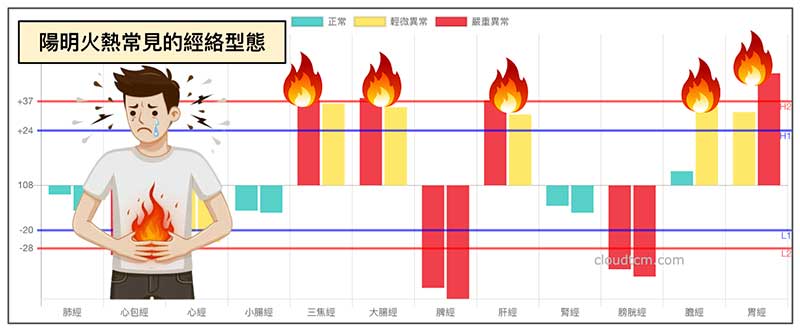 從夏天的經絡型態，可以看出一大堆的火氣現象