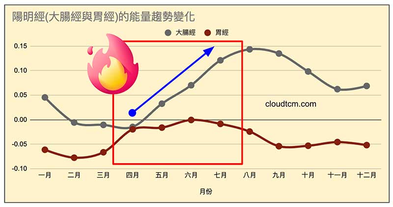 陽明經(大腸經與胃經)的能量趨勢變化