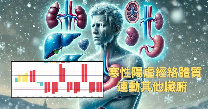 寒性陽虛經絡體質，最後會連動其他臟腑