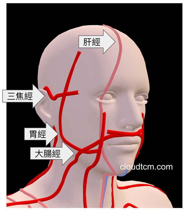 面部火熱的經絡現象