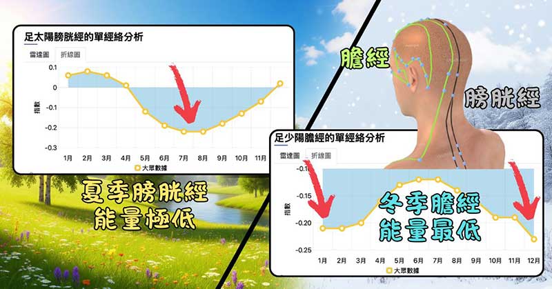 夏季膀胱經能量極低，冬季膽經能量極低