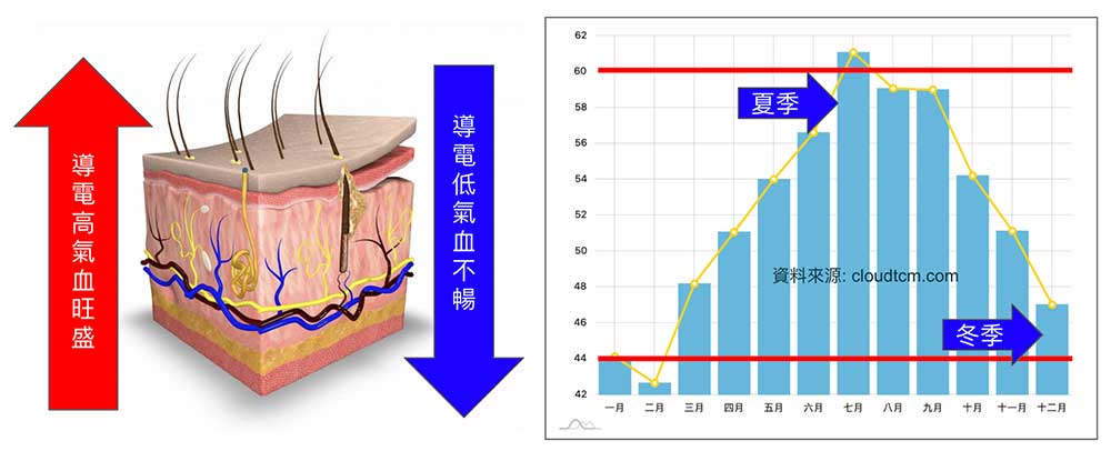 多數人的體能數值介於40-60之間