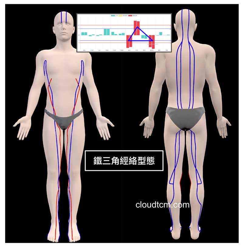 夏季常見的鐵三角經絡型態開啟3D模式