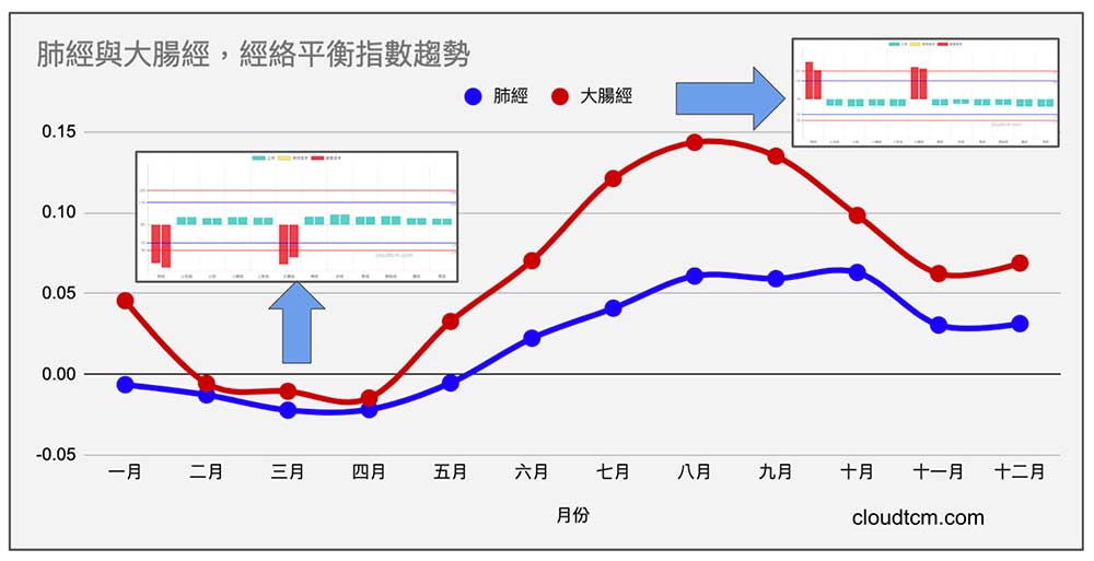 肺經與大腸經的能量趨勢變化一致