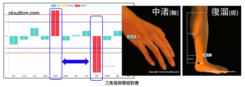 多數人三焦經長年實證，腎經呈現虛證