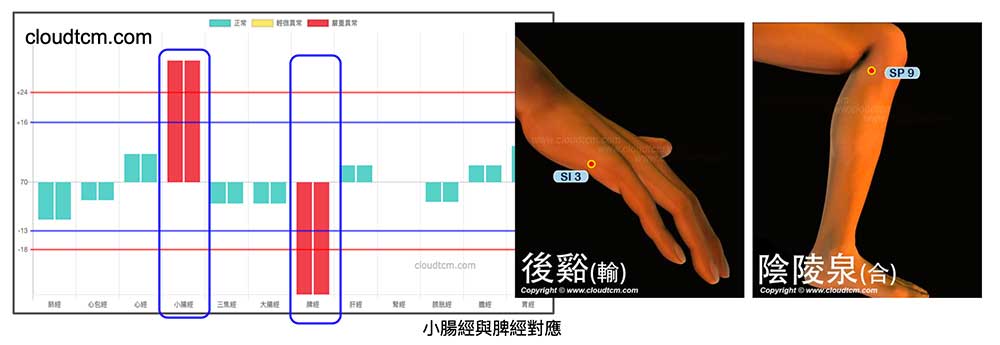 多數人一年四季小腸經能量變化多端，脾經長期呈現虛證