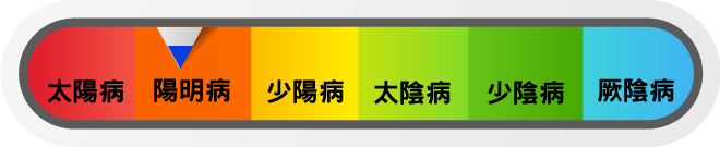 白虎湯證主要位於陽明病階段