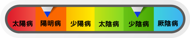 豬苓湯可見於少陰病，亦可見於陽明病