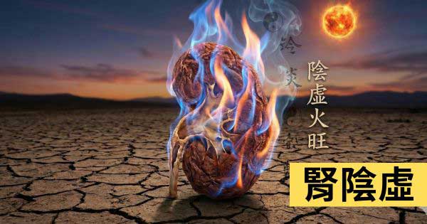 腎陰虛