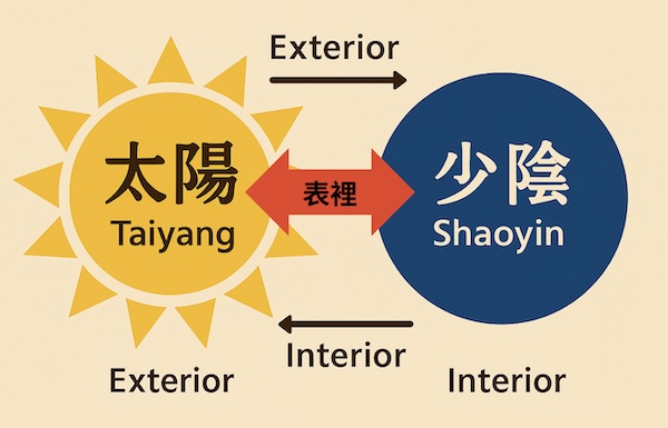 太陽與少陰之間，具有表裡關係