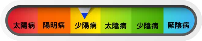 小柴胡證，主要應用於少陽病範疇