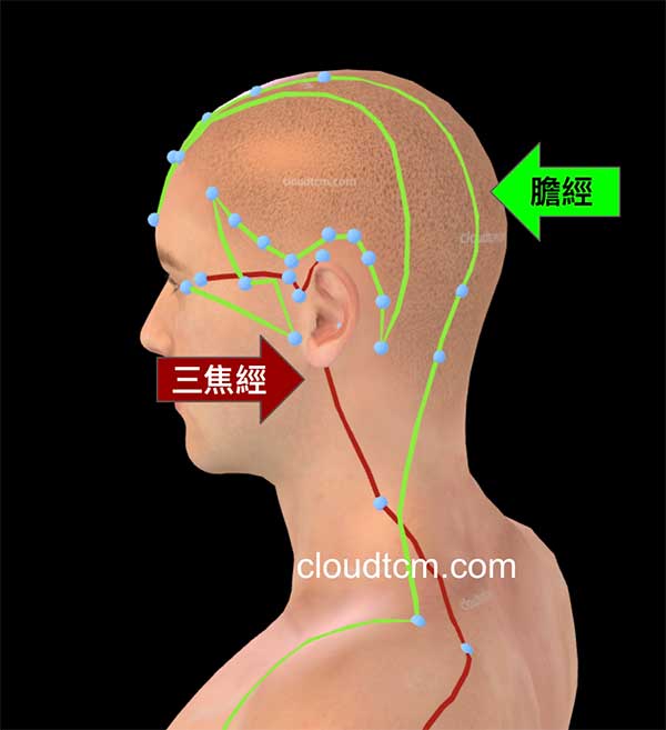 少陽經異常時會出現暈眩、口苦、耳鳴與失眠