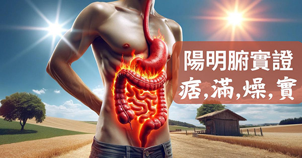 陽明腑實證是裡實熱，特點是痞、滿、燥、實
