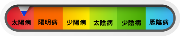 越婢(加朮)湯證主要應用於太陽病範疇